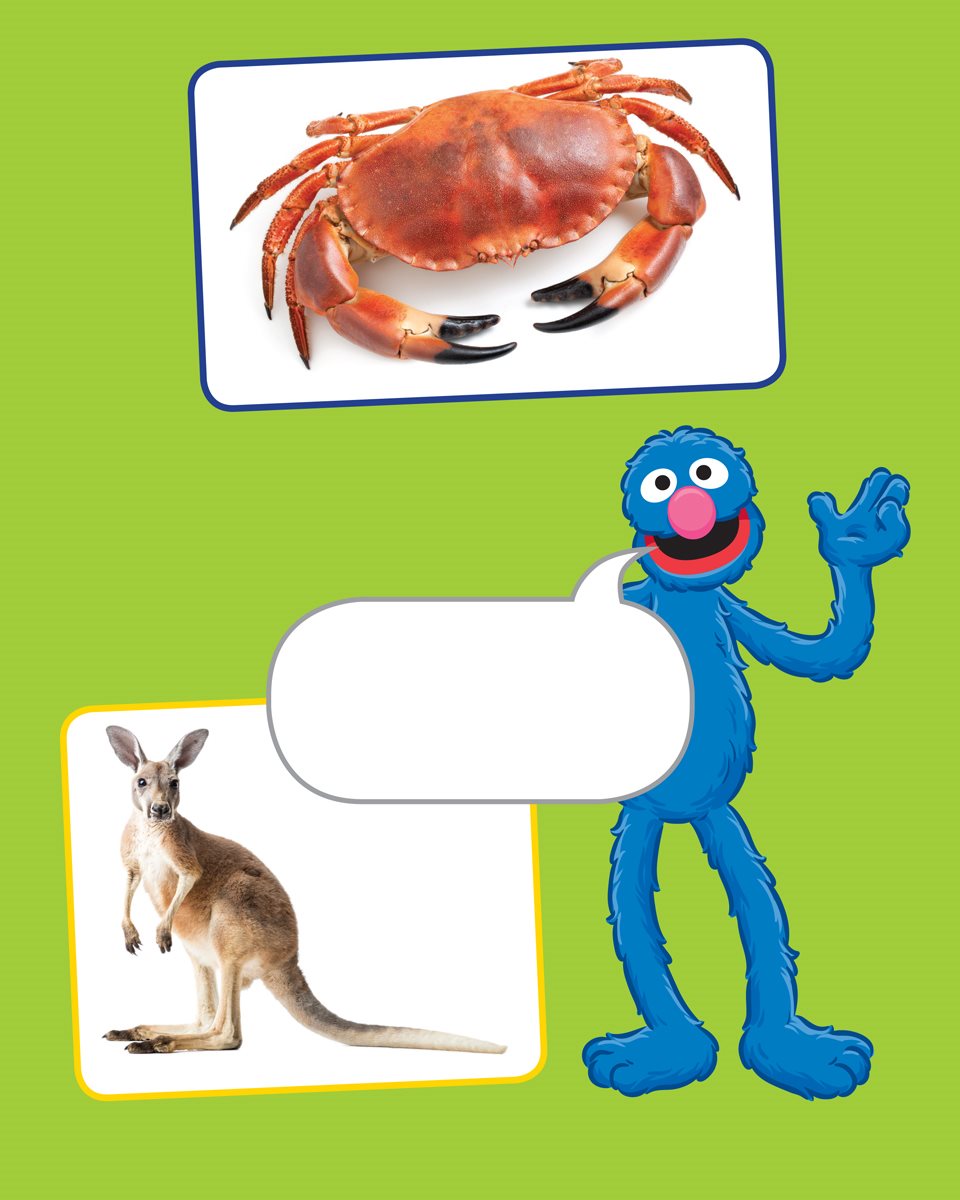 Crab Which of these animals starts with S Kangaroo Wolf Spider Whale - photo 9