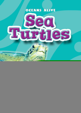 Ann Herriges - Sea Turtles