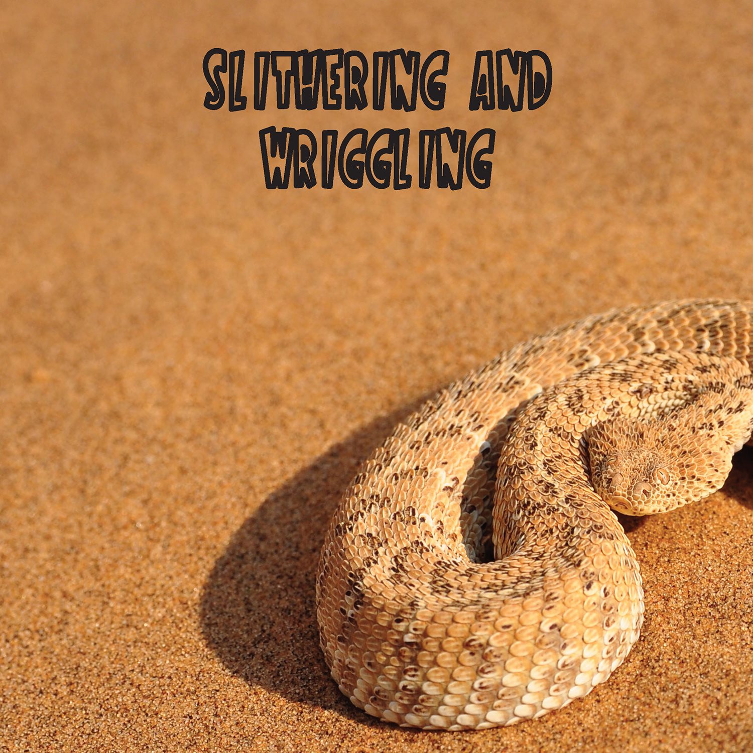 SLITHERING AND WRIGGLING Snakes use their muscles and scales to wriggle - photo 10