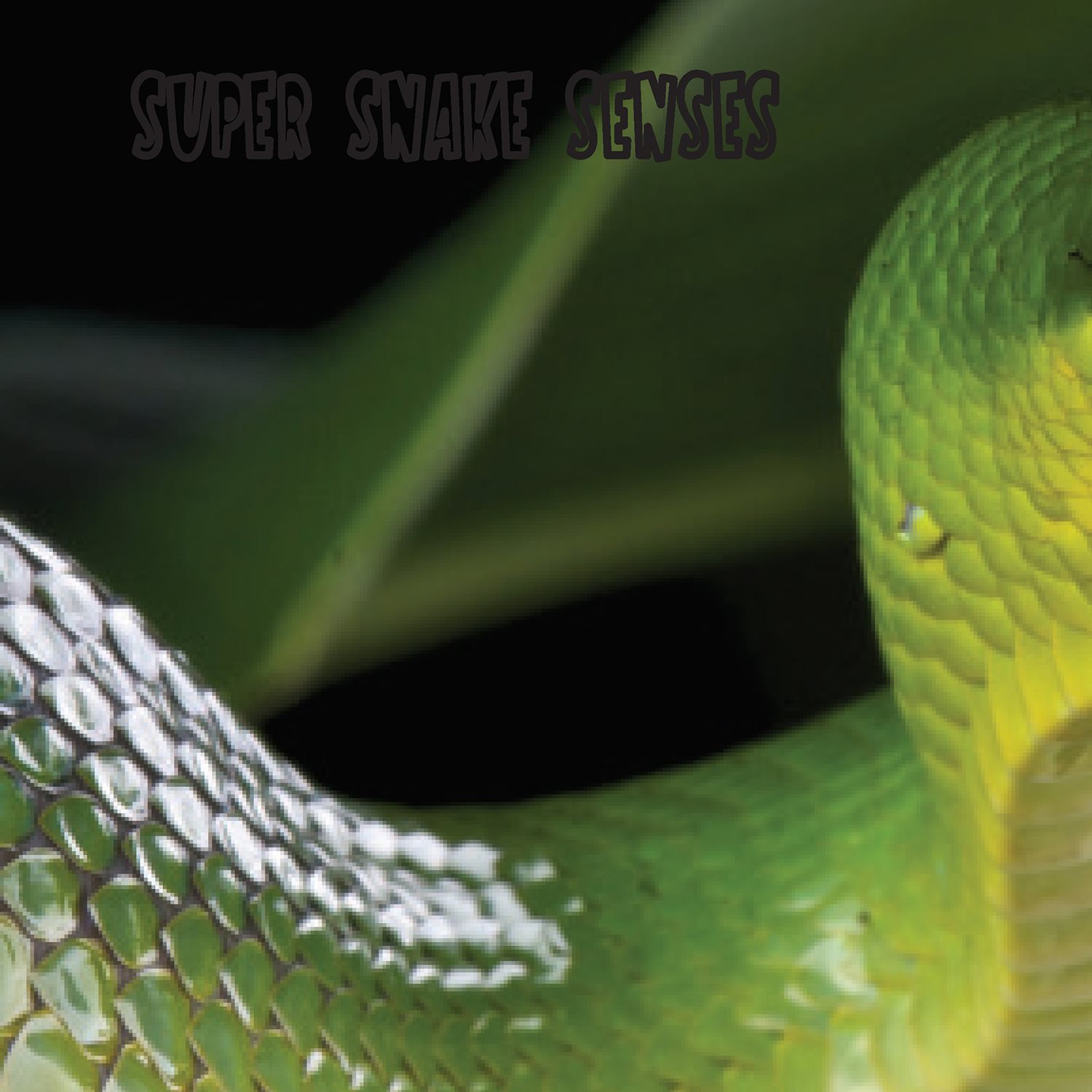 SUPER SNAKE SENSES Snakes can smell and taste the air and track prey with - photo 16