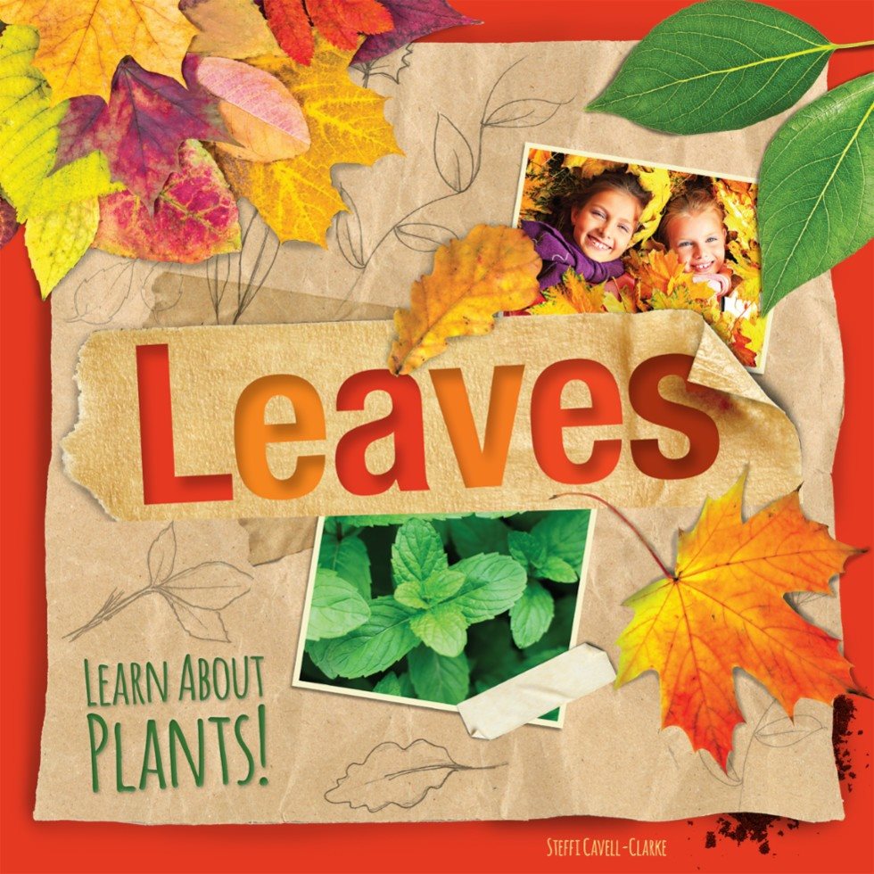 Leaves Steffi Cavell-Clarke Learn About Plants Leaves - photo 1