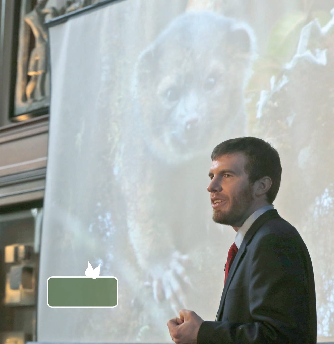 Kristofer Helgen shares a photo of an olinguito in August 2013 - photo 7