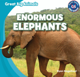 Ryan Nagelhout - Enormous Elephants