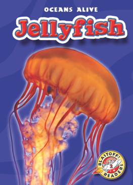 Ann Herriges Jellyfish