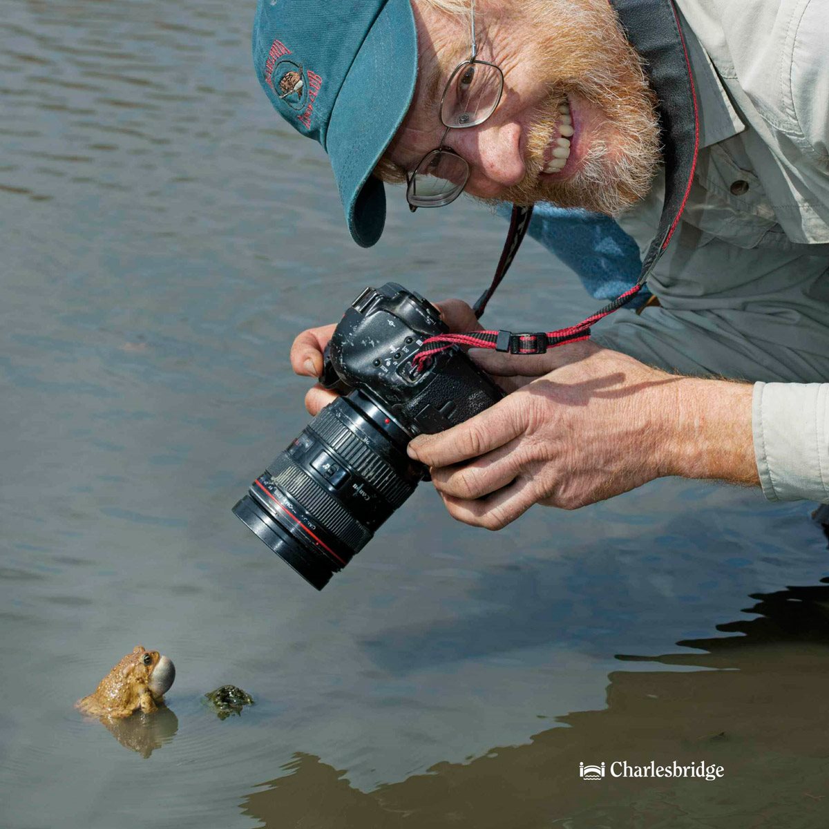 The Hidden Life of a Toad Doug Wechsler A pril - photo 3