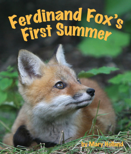 Mary Holland - Ferdinand Foxs First Summer