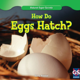 Elena Hobbes How Do Eggs Hatch?