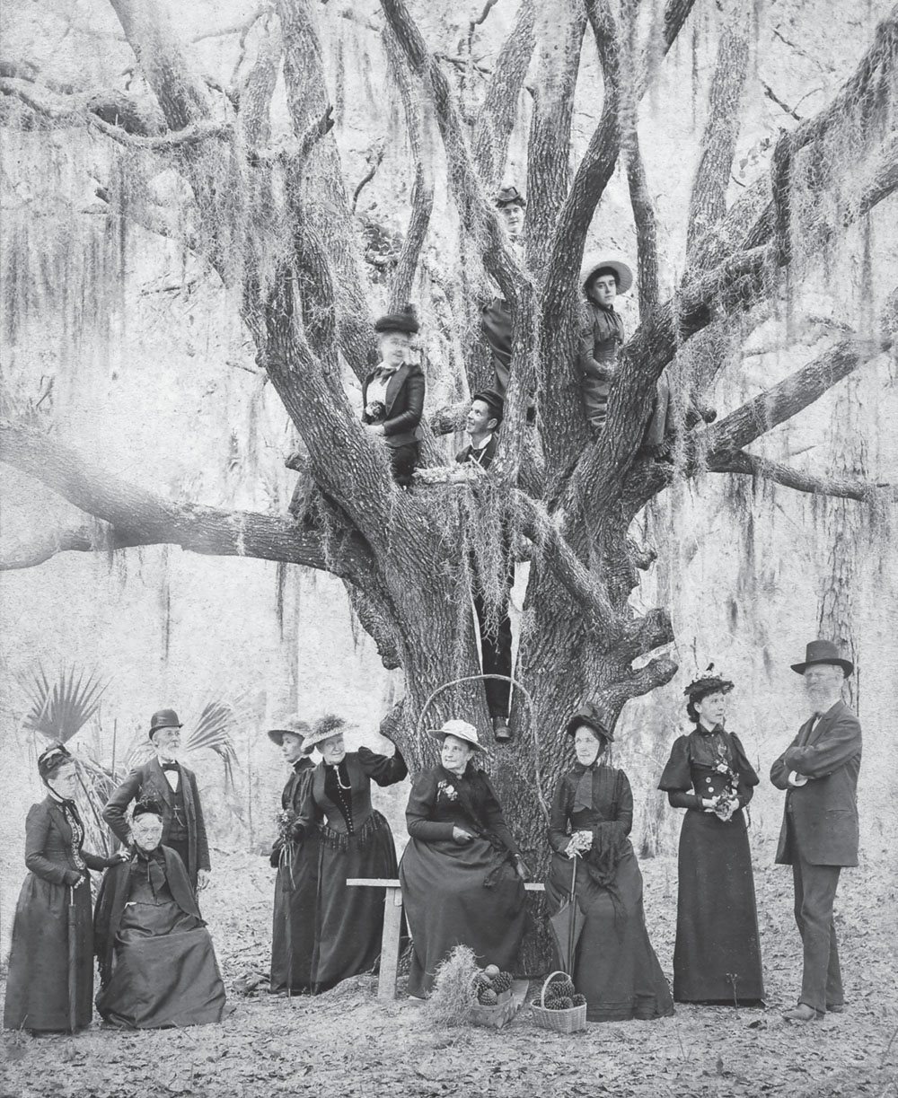 Founding family The Day family poses for a group photograph during an 1890 - photo 3