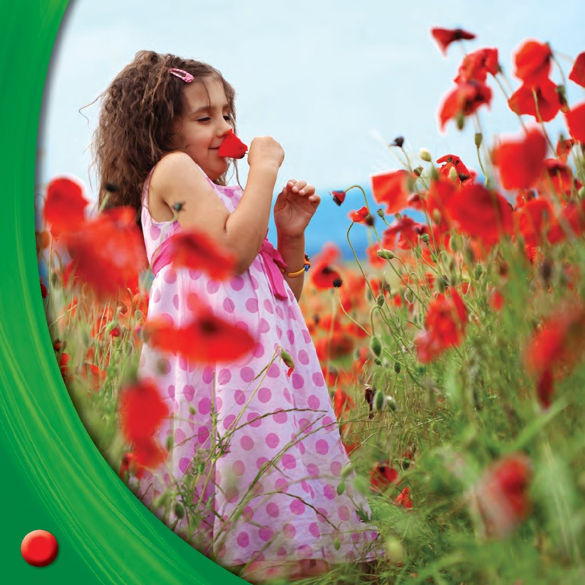 Poppies blossom They grow in fields Mel picks poppies What Do You - photo 16