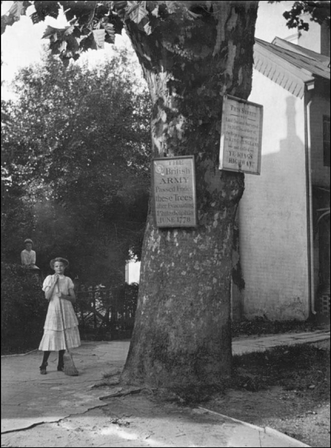 In 1740 Henry Warrington planted the buttonwood tree at the southwest corner - photo 4