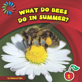 Rebecca Felix - What Do Bees Do in Summer?