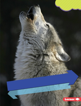 Rebecca E. Hirsch - Gray Wolves: Howling Pack Mammals