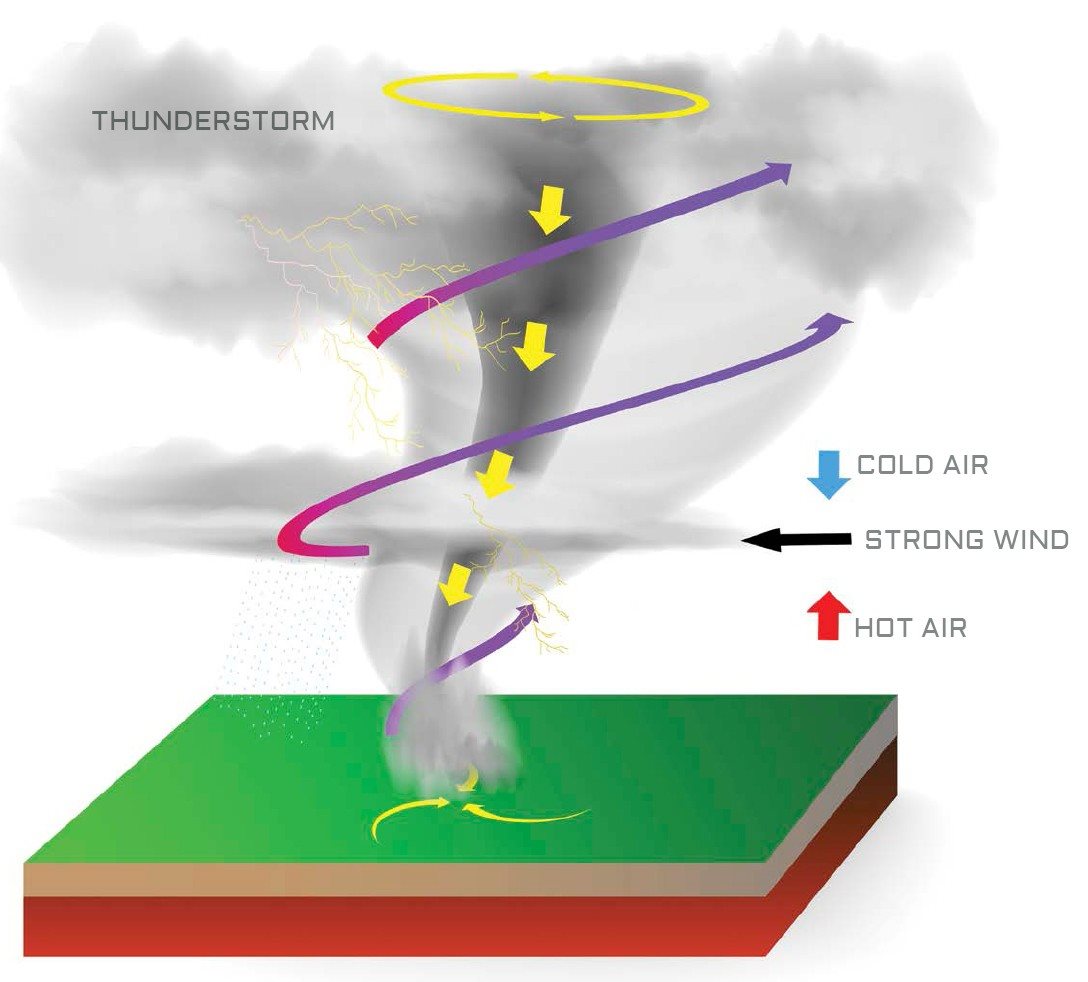 MOST TORNADOES FORM FROM SUPERCELL THUNDERSTORMS SUPERCELL THUNDERSTORMS ARE - photo 7