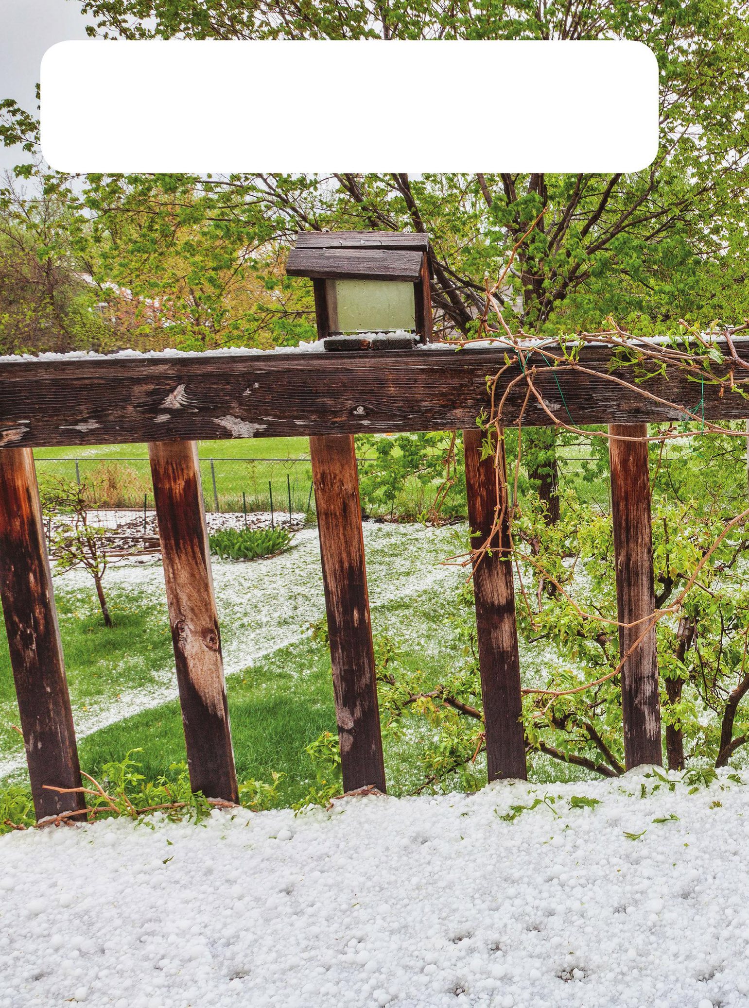 A hailstorm is wild weather When the clouds go very high the rain gets - photo 12