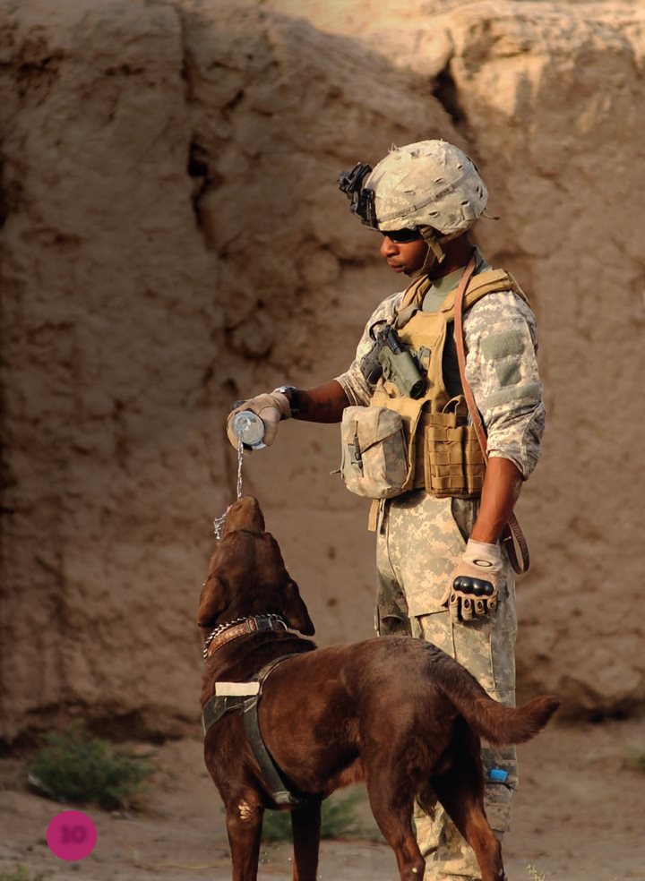 The handler and the guard dog are partners They train together and - photo 10