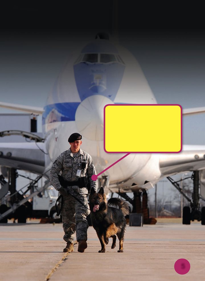 Military dogs are working dogs They have jobs to do Guard dogs defend - photo 5