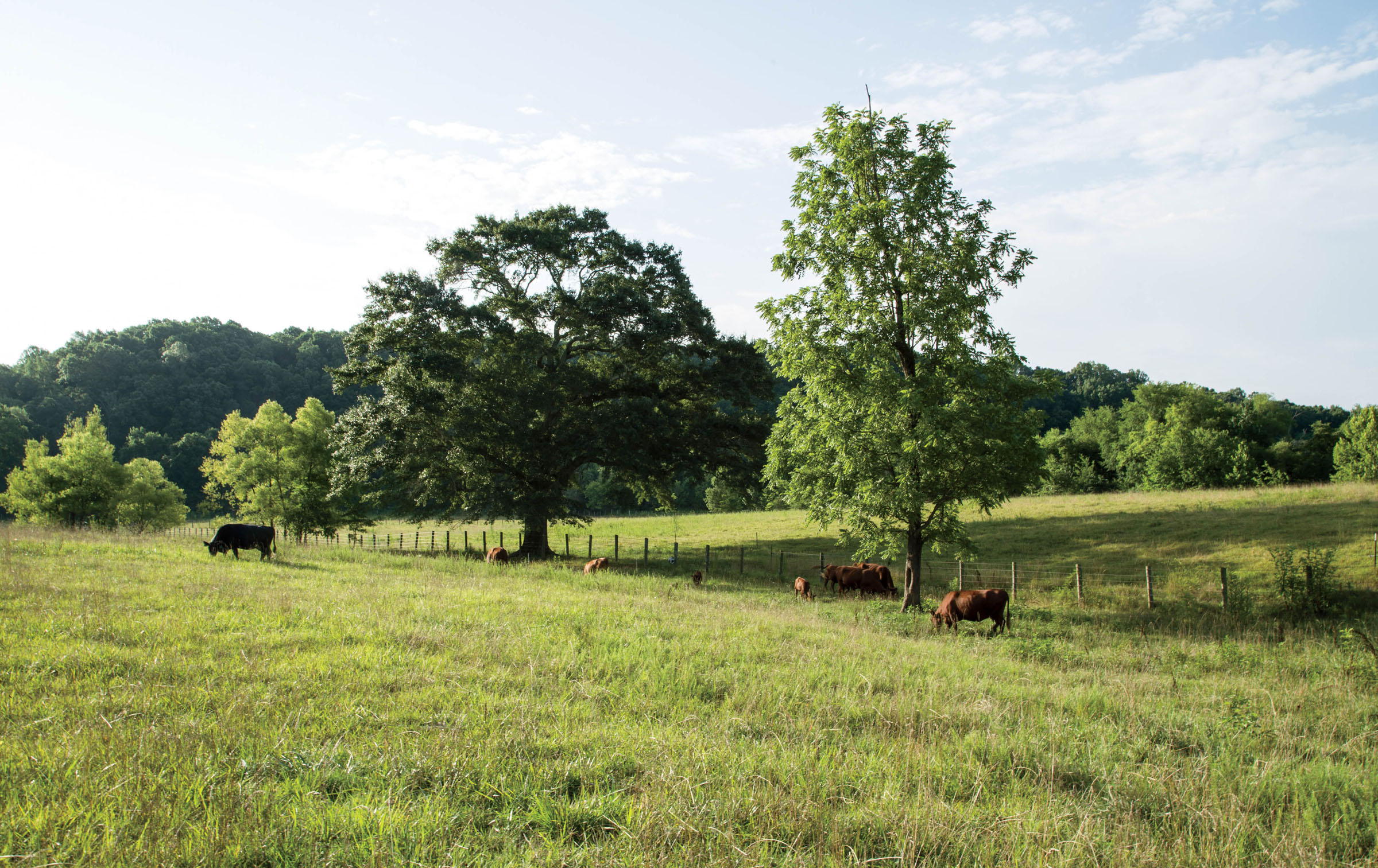 F rom the rolling hills and hollows in Appalachia to the flat salt marshes of - photo 2