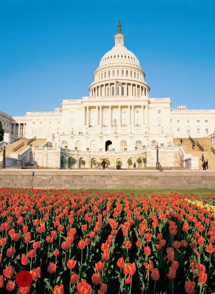 What is the Capitol Have you ever seen this building It is the - photo 5