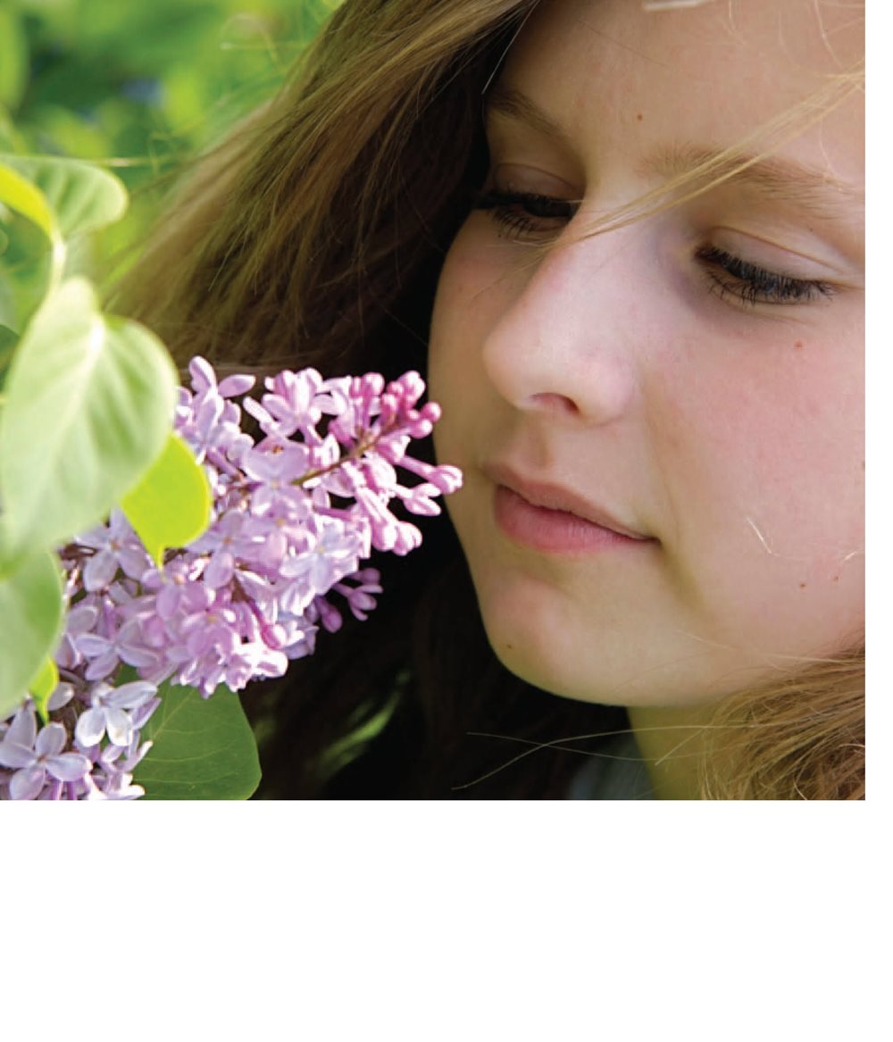 Lilacs are pretty flowers that smell good People put flowers in their - photo 16