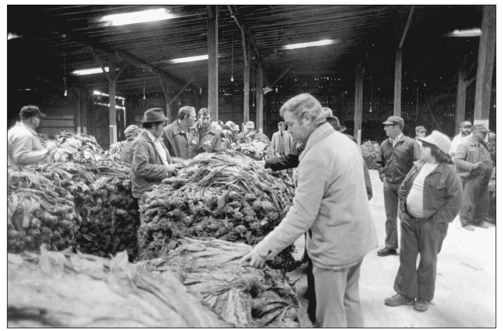 Farmers would take the tobacco to markets in November where it would be sold - photo 14