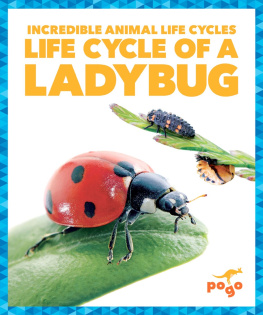 Karen Latchana Kenney - Life Cycle of a Ladybug