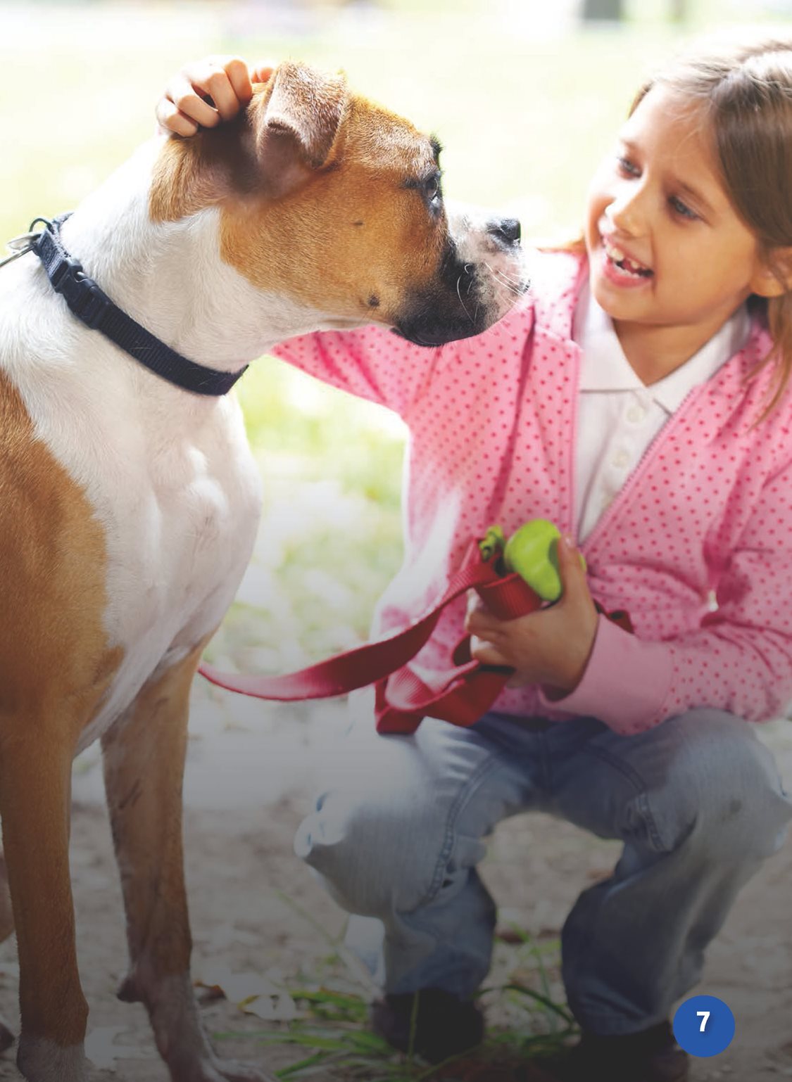 All boxers are fun to be around They are playful and sweet And their - photo 9