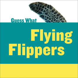 Felicia Macheske - Flying Flippers: Sea Turtle