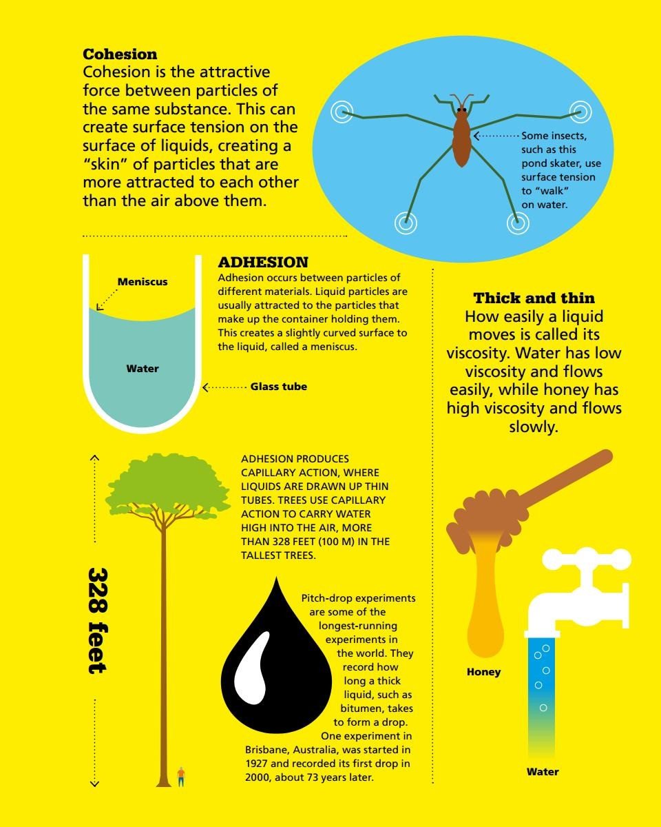 WATER Water is the most common liquid on the planet and is the only substance - photo 9