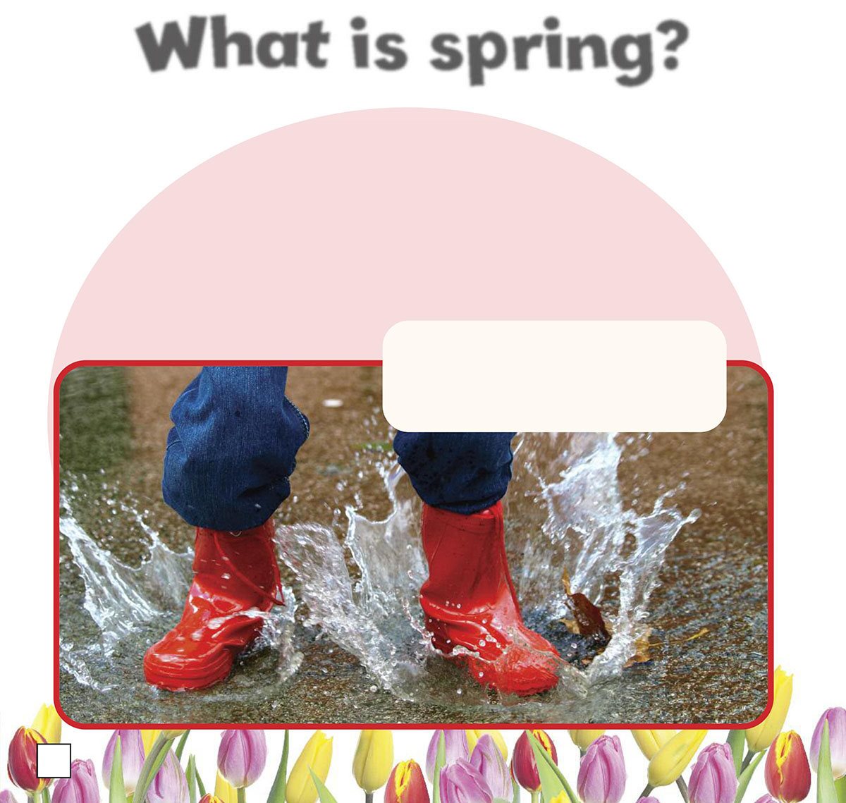 What is spring In most parts of the world there are four seasons in the - photo 6