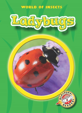 Martha E. H. Rustad - Ladybugs
