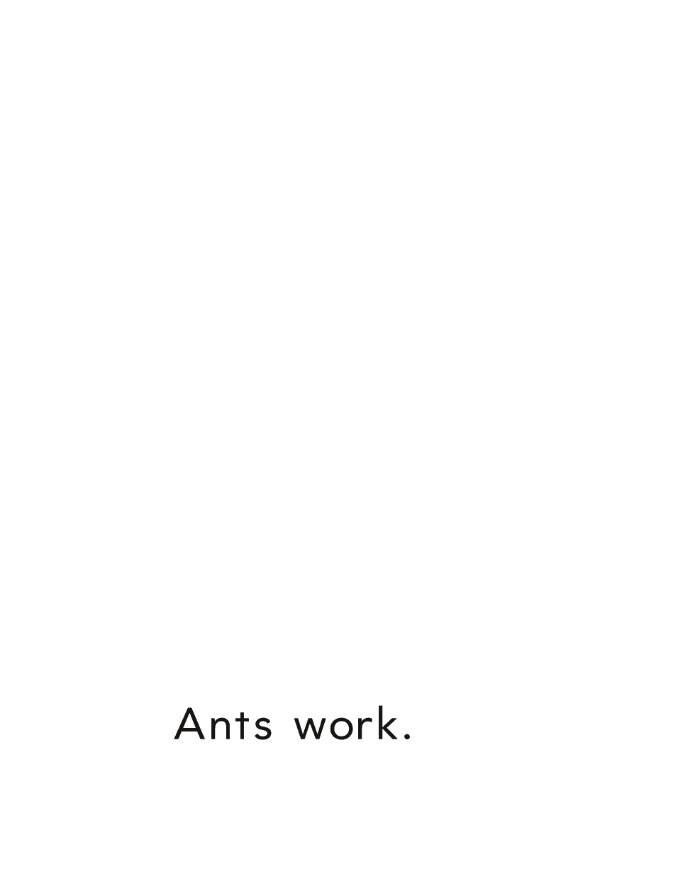 Ants work - photo 4