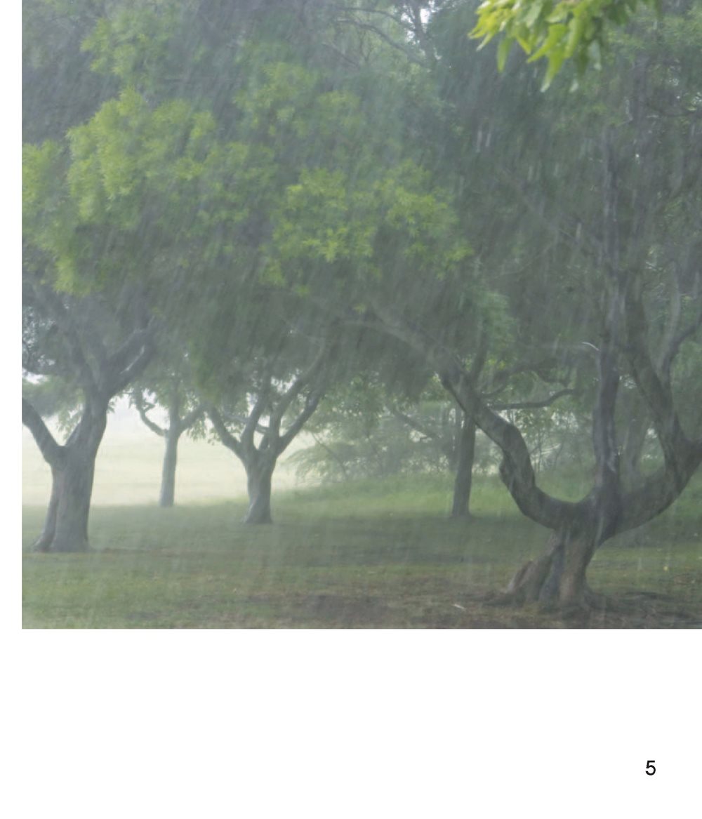 A thunderstorm brings lots of rain and wind A lightning bolt lights - photo 5