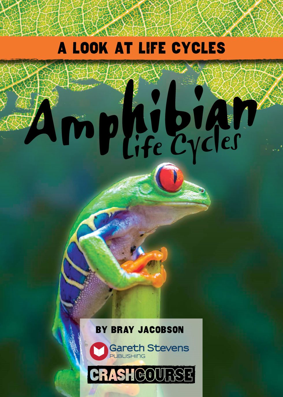 A LOOK AT LIFE CYCLES Amphibian Life Cycles BY BRAY JACOBSON - photo 3
