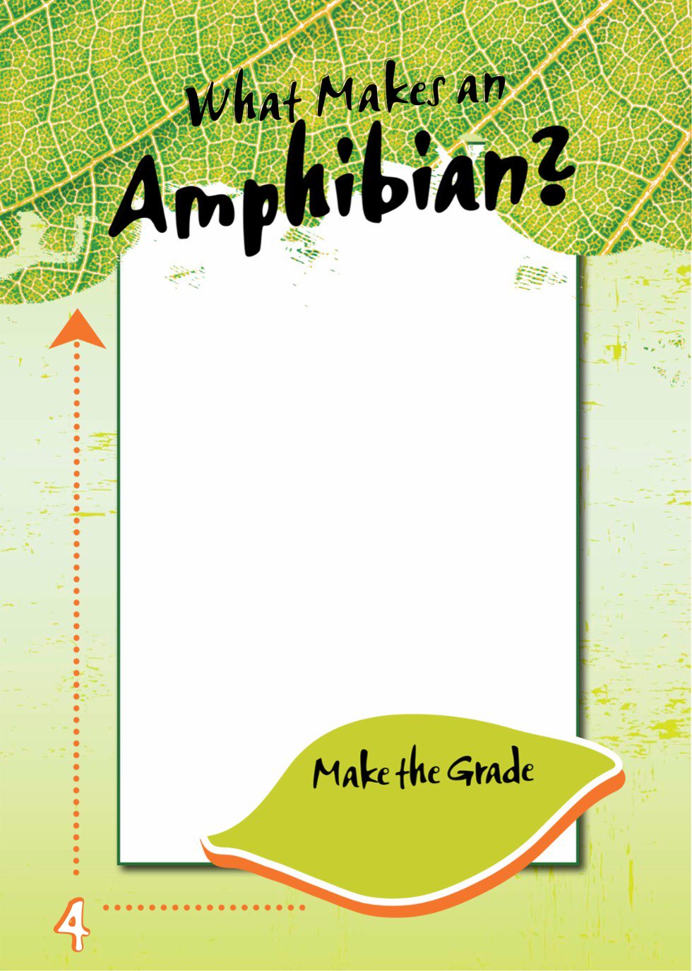 What Makes an Amphibian Amphibians are one of the main groups of animals - photo 6