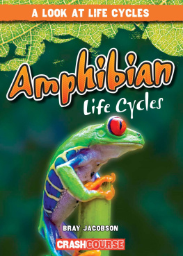 Bray Jacobson - Amphibian Life Cycles