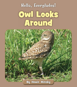 Howie Minsky - Owl Looks Around