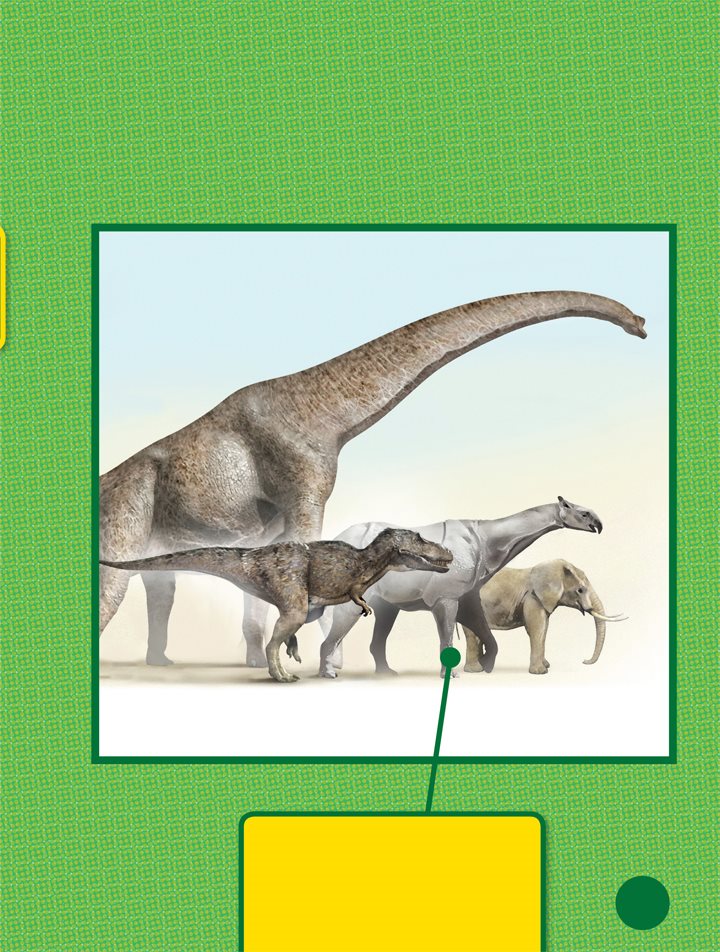 Indricotherium were twice as tall as elephants Indricotherium were more - photo 19