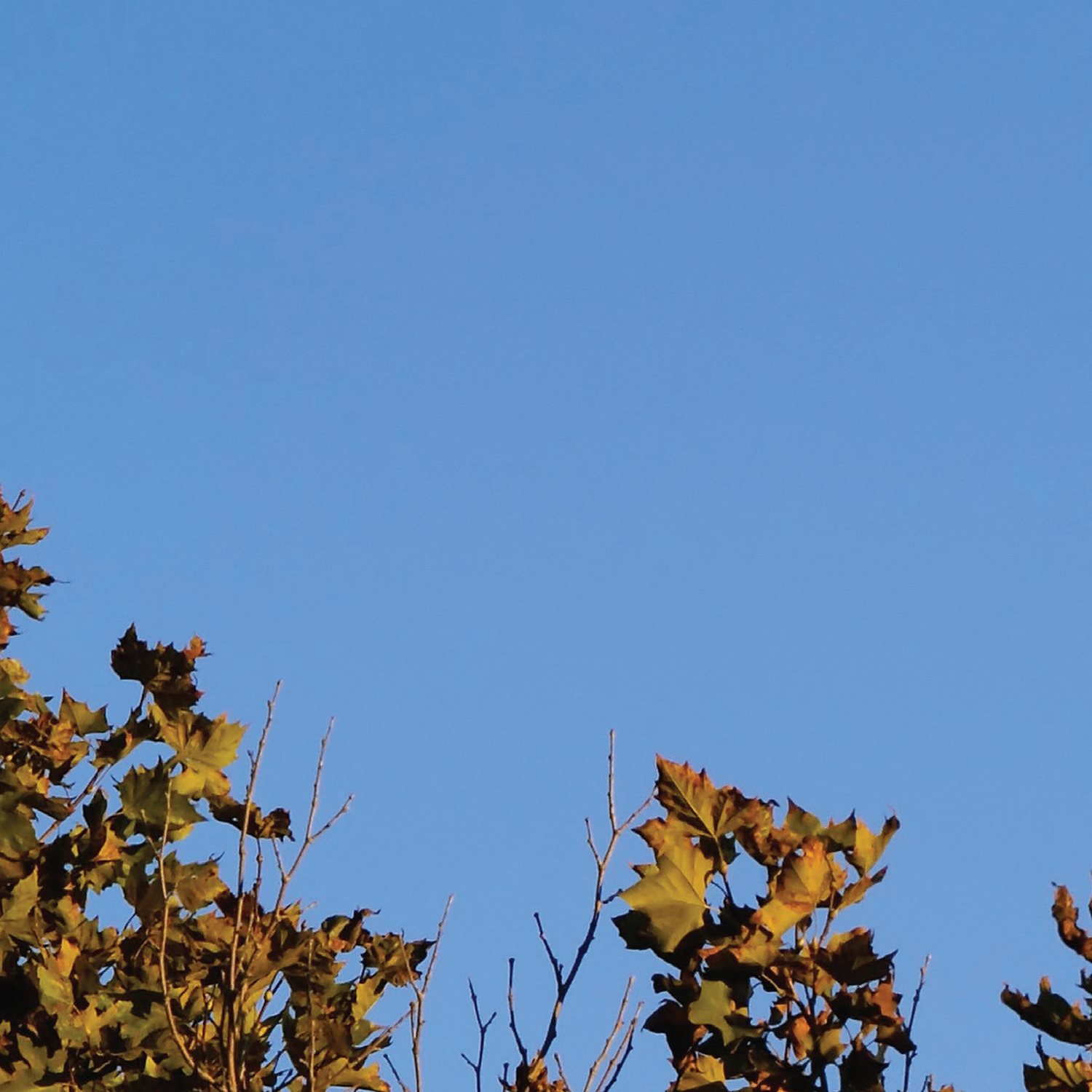 Sometimes you can see the Moon in the daytime sky - photo 12