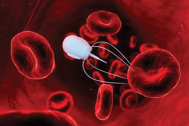 This illustration shows a tiny robot attaching to a red blood cell - photo 20