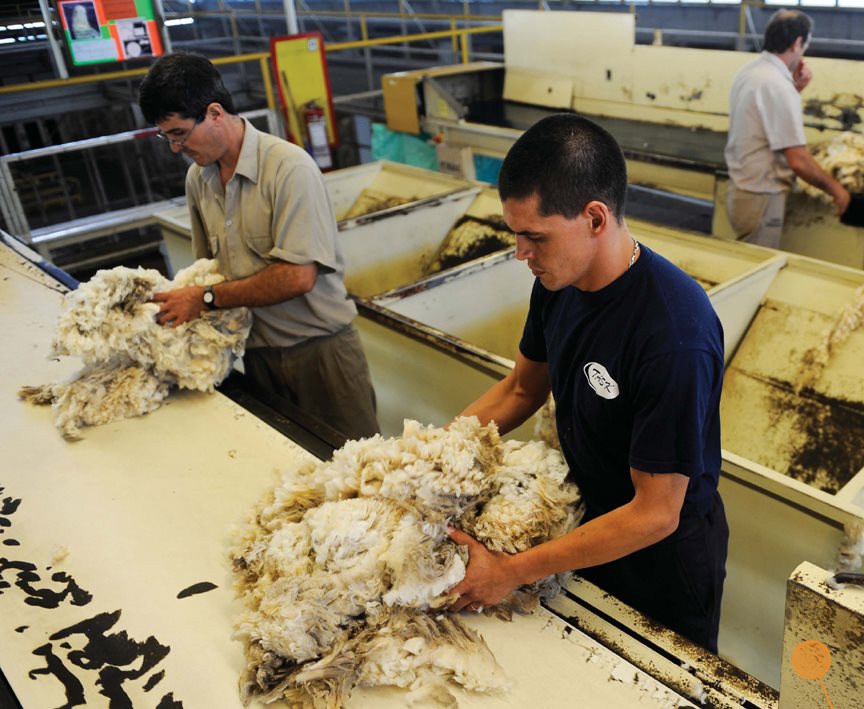 The wool is washed and dried Workers wash the wool many times Washing - photo 9