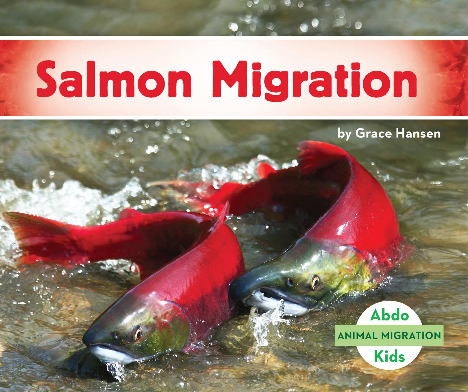 Abdo Kids ANIMAL MIGRATION Salmon Migration by Grace Hansen - photo 1