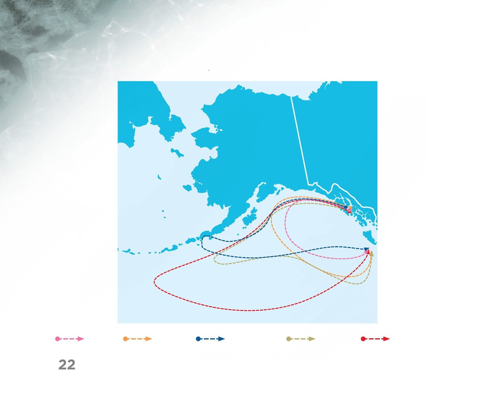 Salmon Migration Routes Russia Alaska Canada Gulf of Alaska pink - photo 24