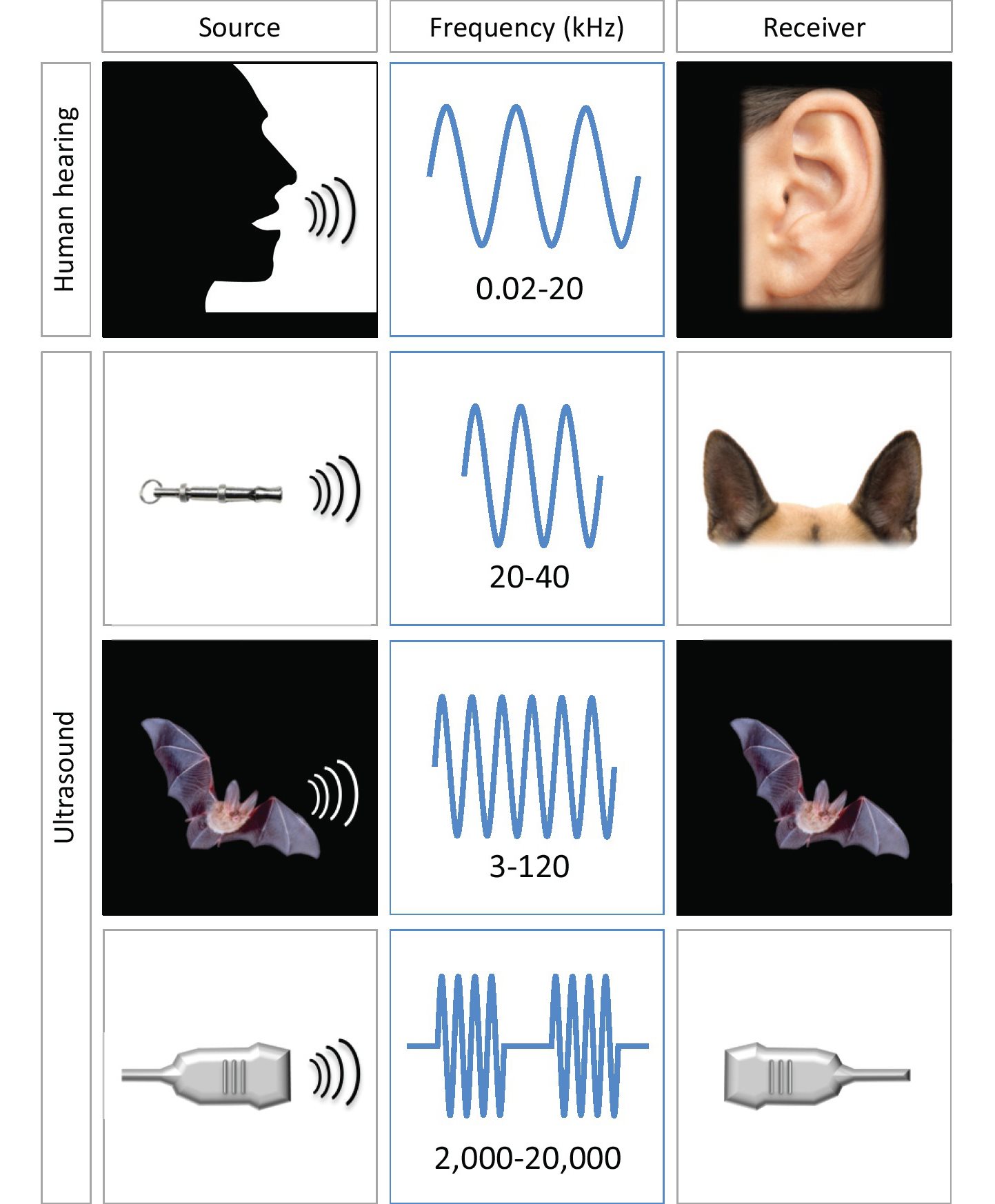 Figure 11 Different sound wave frequencies The human ear can interpret sound - photo 3