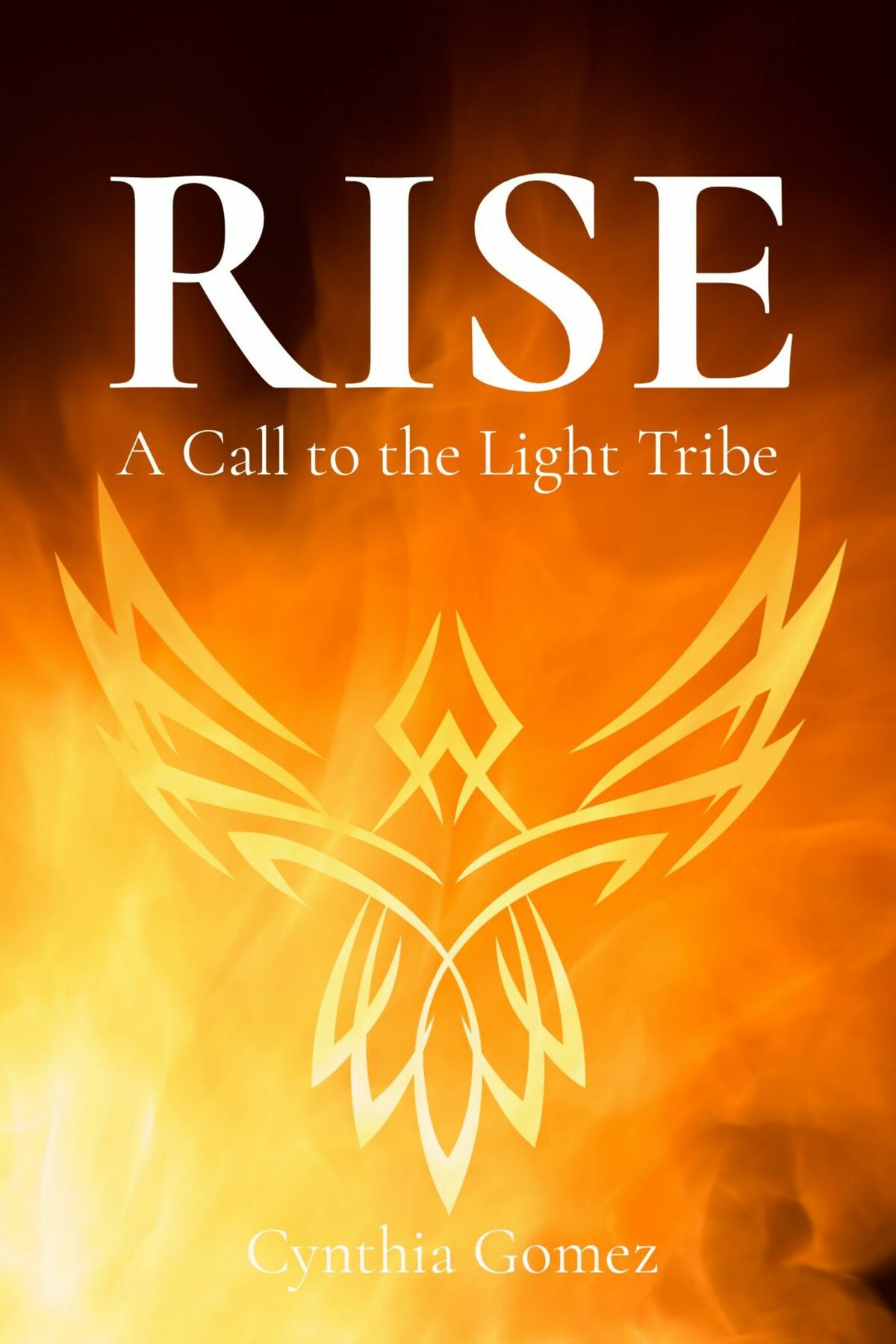 RISE RISE A Call to the Light Tribe Cynthia Gomez Light Rising Publishing - photo 1