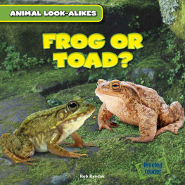 Rob Ryndak - Frog or Toad?