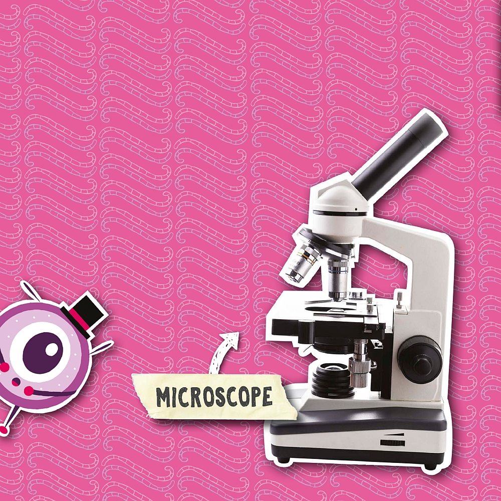 Microscopes are used to see very small things that cant be seen with just our - photo 4