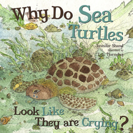 Jennifer Shand - Why Do Sea Turtles Look Like They Are Crying?