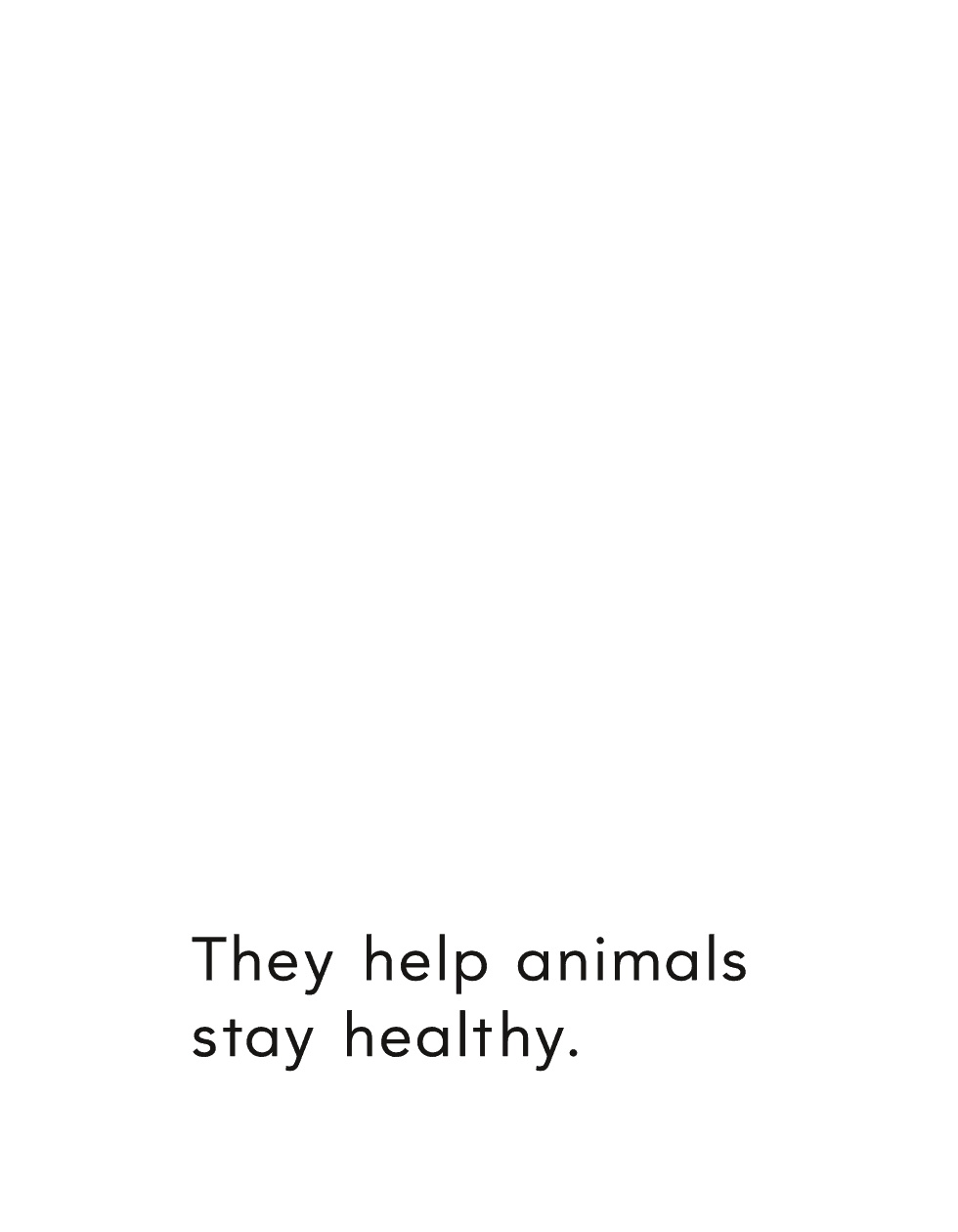 They help animals stay healthy vets help dog - photo 6