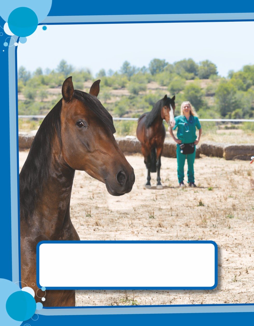 vets help horses - photo 19