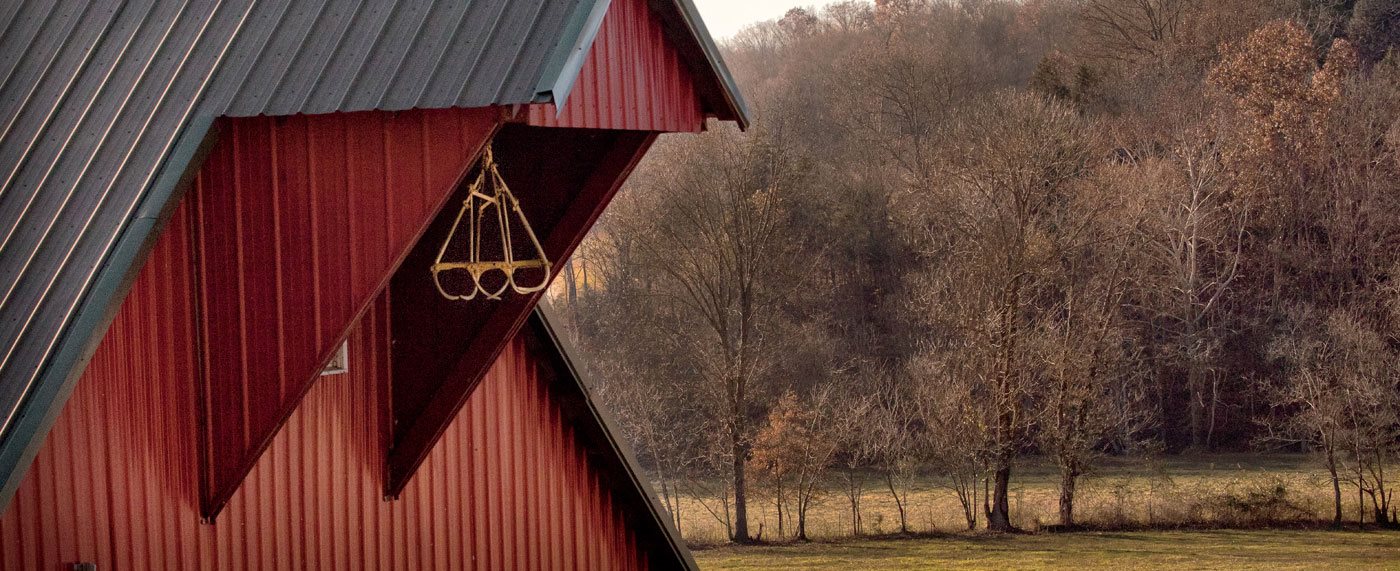 KENTUCKY BARNS Agricultural Heritage of the Bluegrass CAROL PEACHEE - photo 2